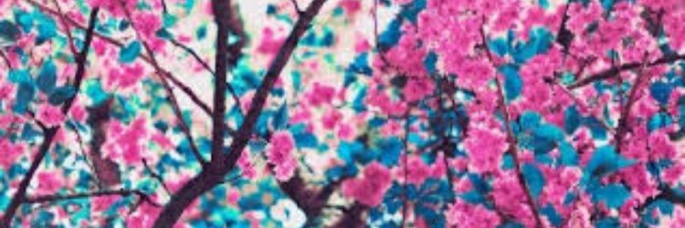 KashdollTiny's profile banner image