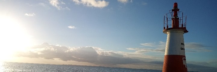 netosoryu's profile banner image