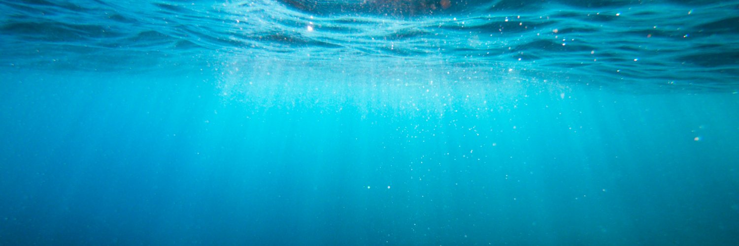 _TheOrca_'s profile banner image