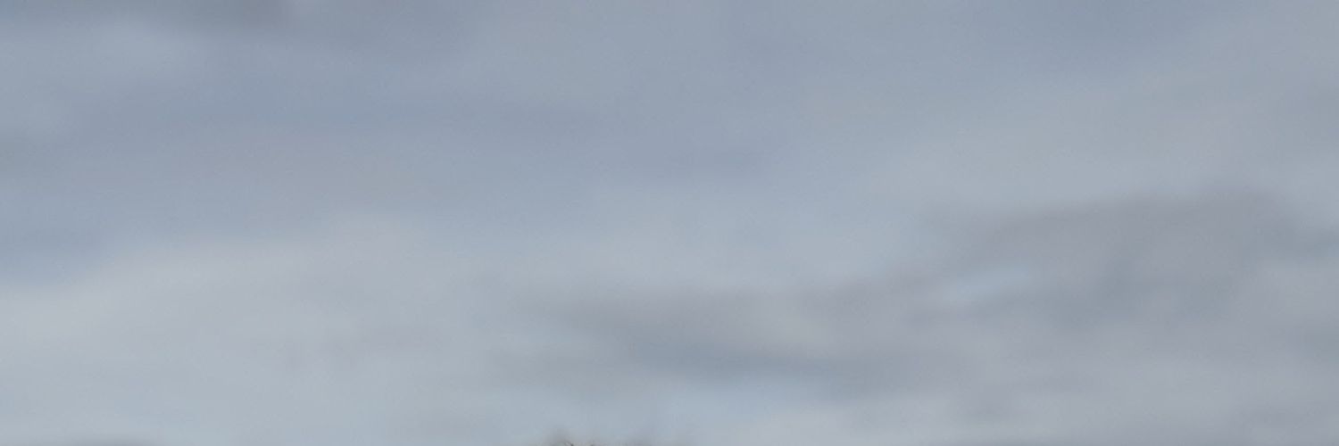 dipuraraka's profile banner image