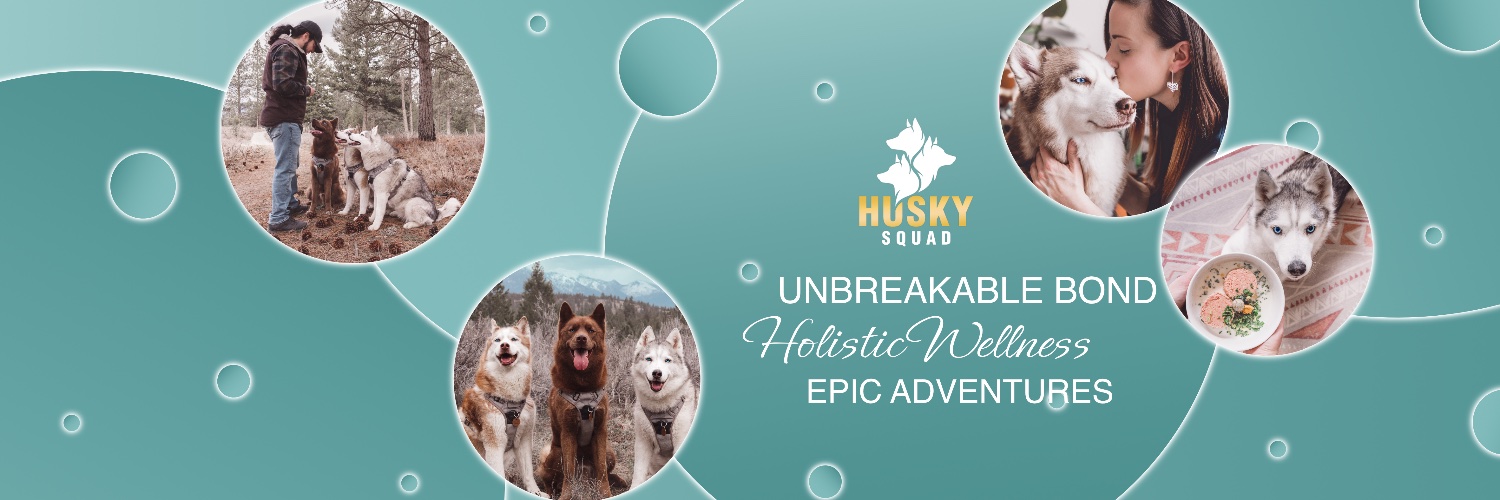 huskysquad's profile banner image
