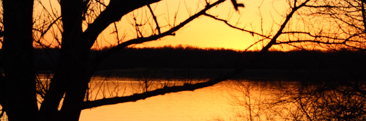 SherryLStout3's profile banner image