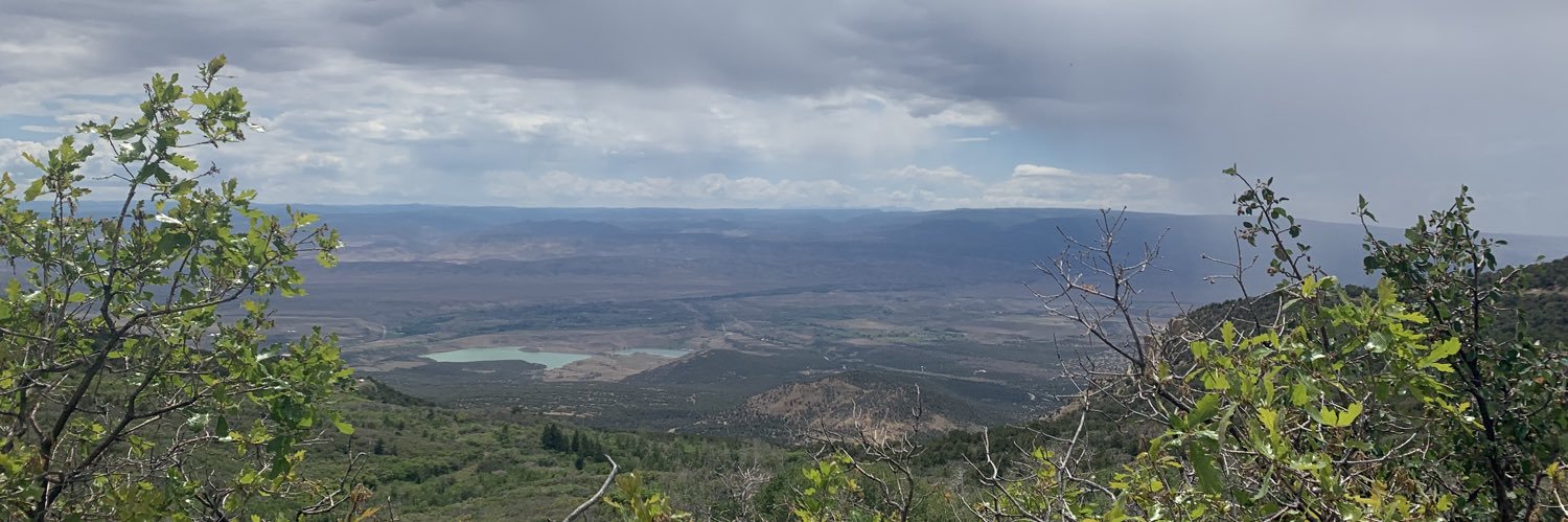 SteeleTyler's profile banner image