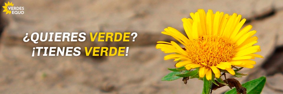 Partido Verde Almería banner