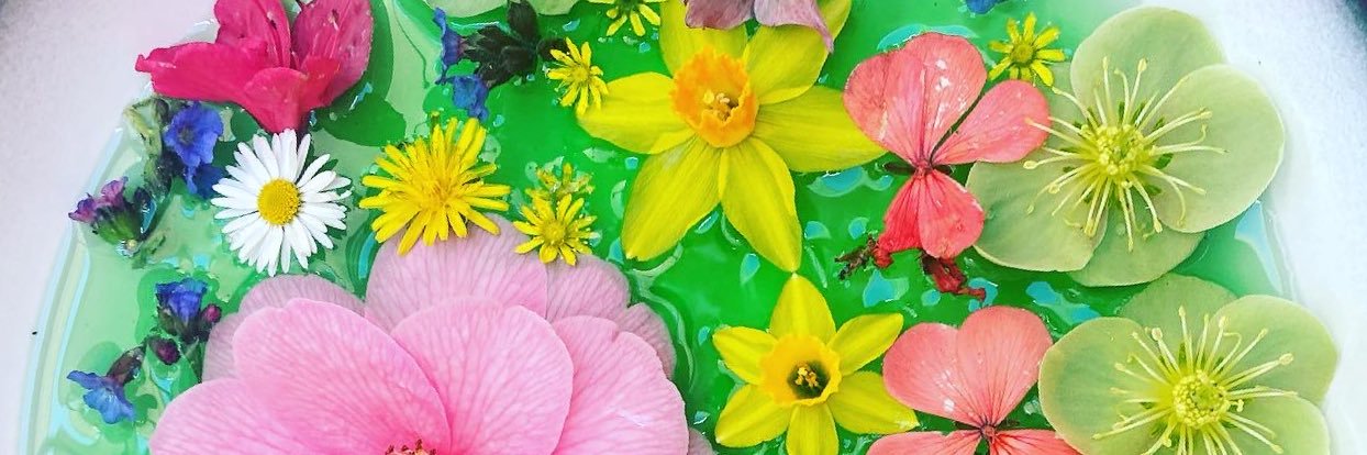 janebitomsky's profile banner image