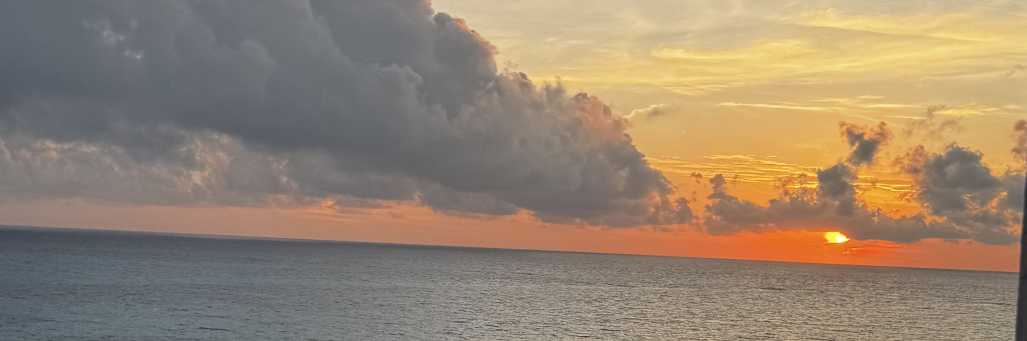 ALT banner