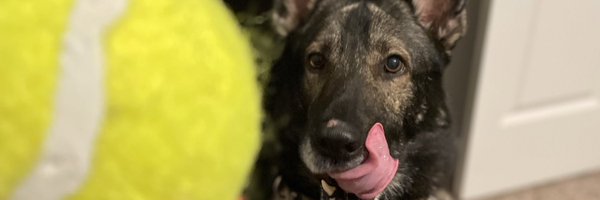 Ramon Profile Banner