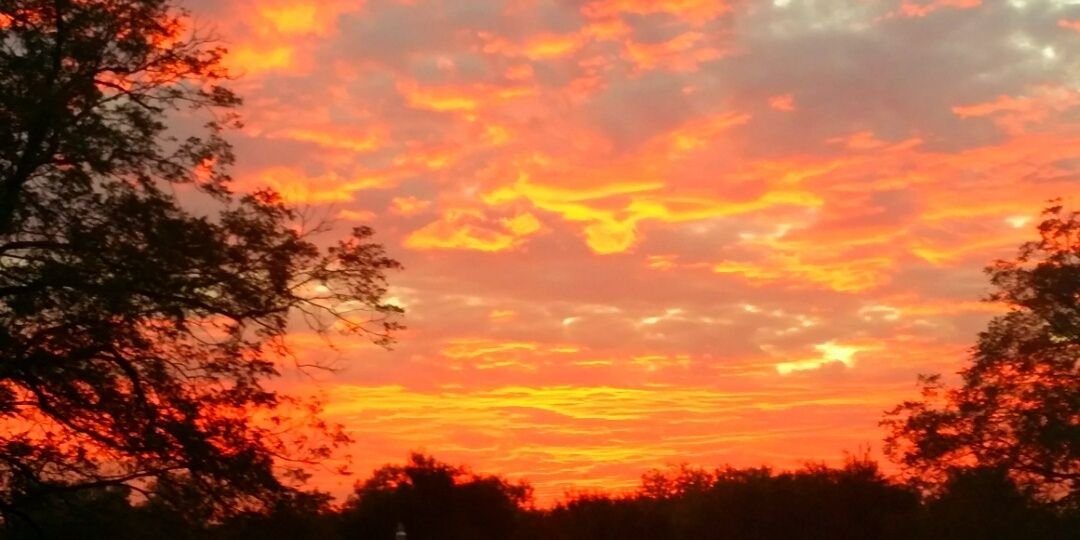 Rhonda Pilkington banner