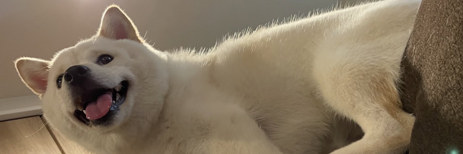 szko0125's profile banner image