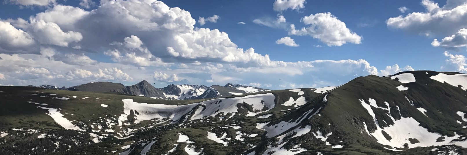 Daniel The Bard banner