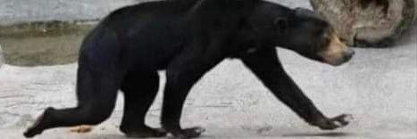 ldavidmmera's profile banner image