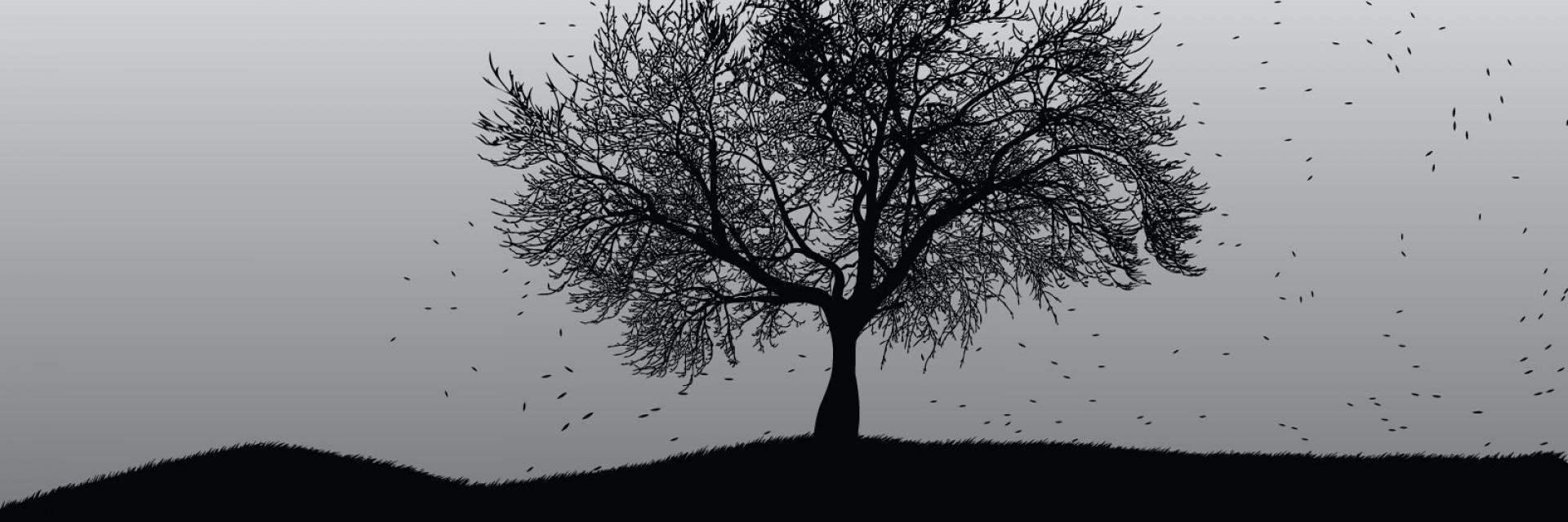 FerMFD's profile banner image