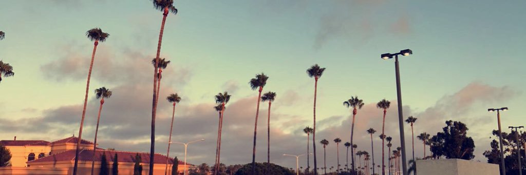 conroy_grace's profile banner image