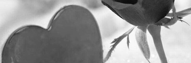 justinruthman's profile banner image