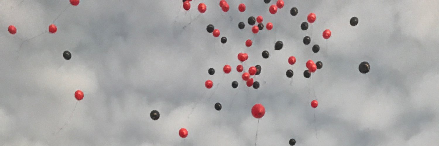 eshevey's profile banner image