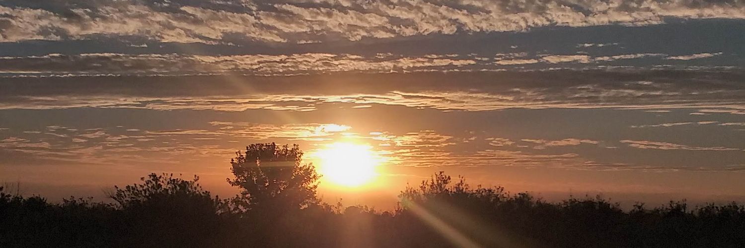 pau_pintos's profile banner image