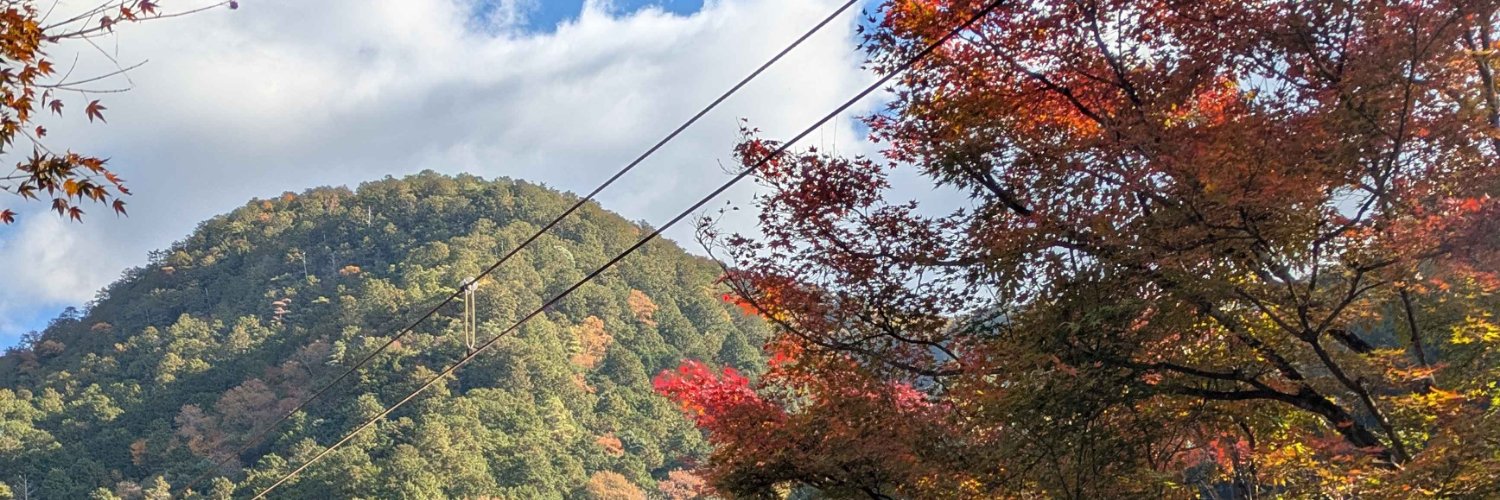 MapleHobbit's profile banner image