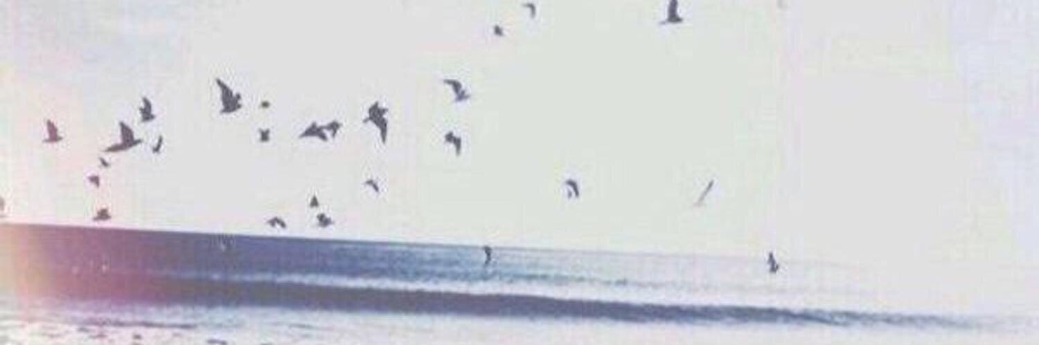 2lo_3lo's profile banner image