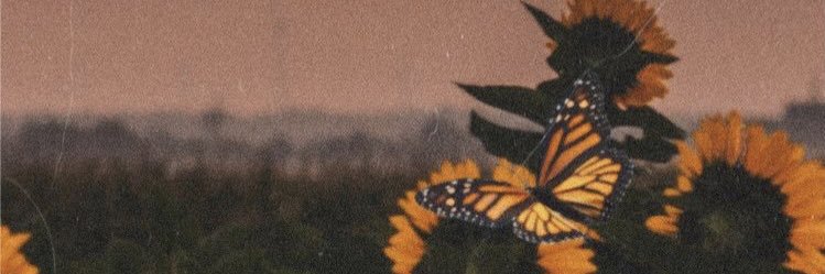 Mmabusang_'s profile banner image