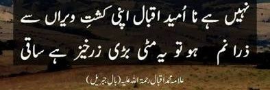 Zaryab Ahmed banner