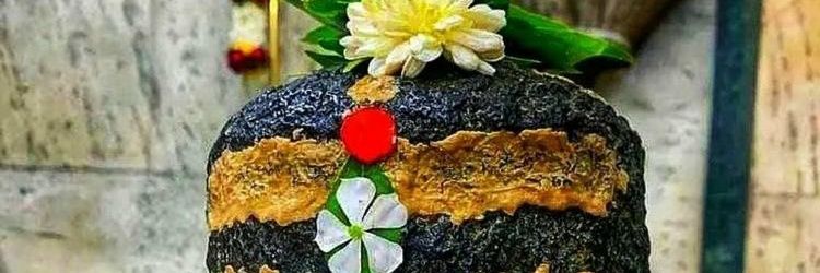 vikashffs's profile banner image