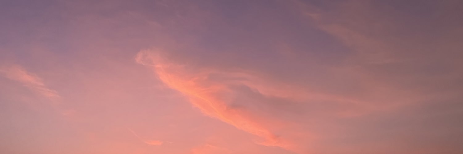 SoSo_Busy 🧜🏻‍♂️'s banner