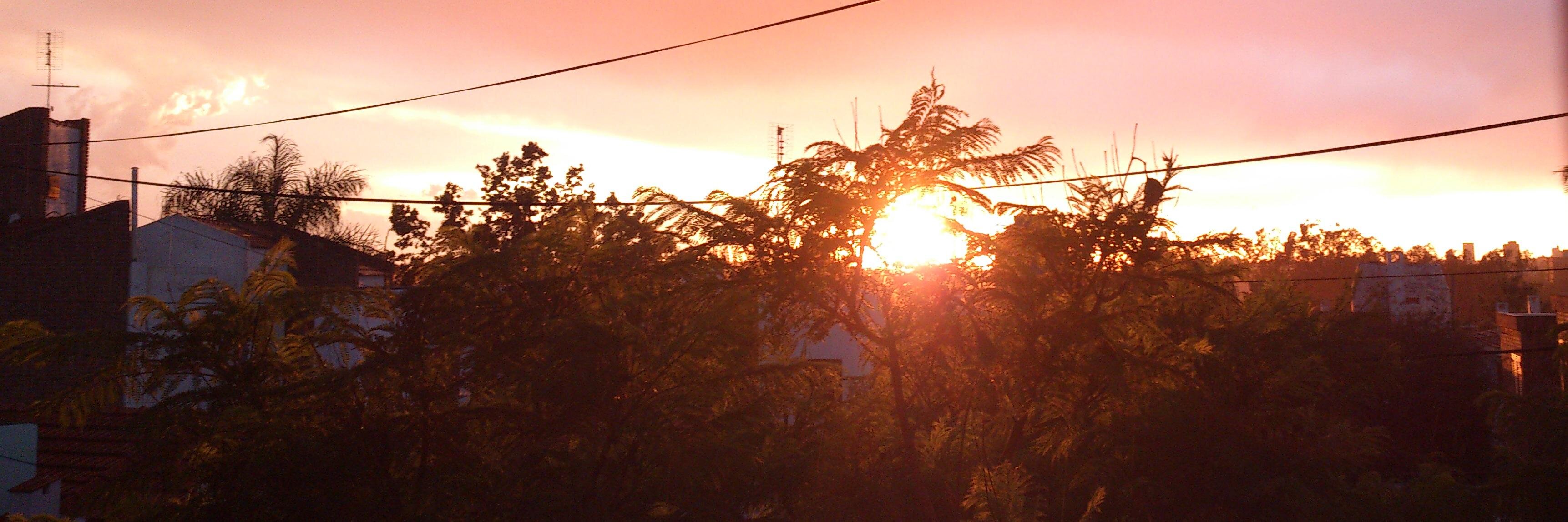 NikoBerre's profile banner image