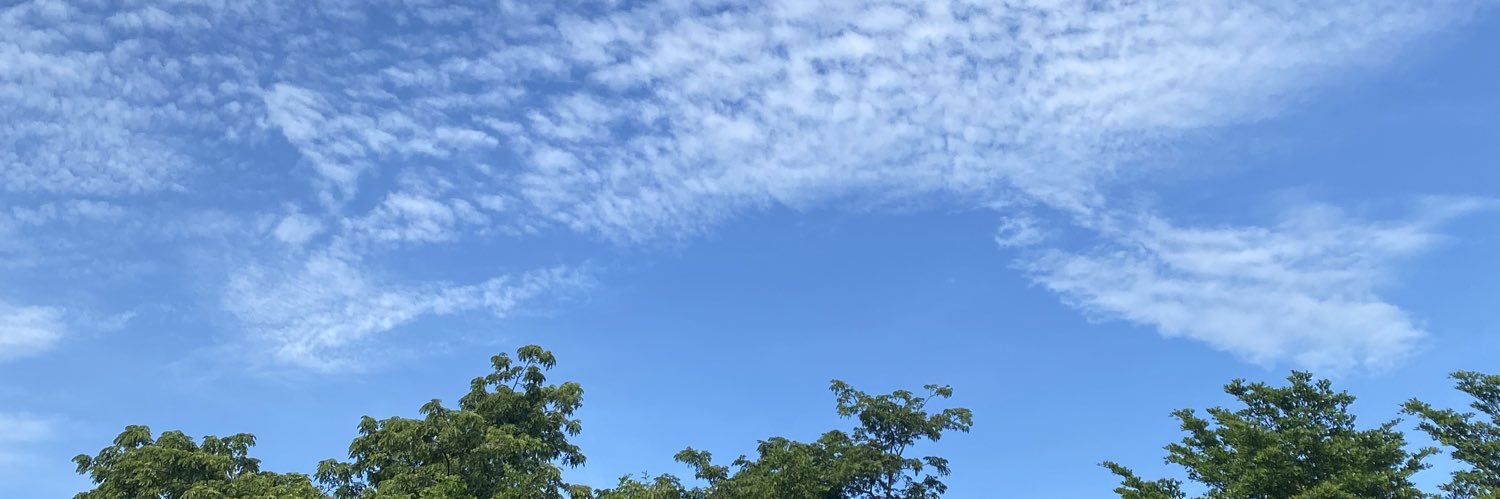 mellamonhing's profile banner image