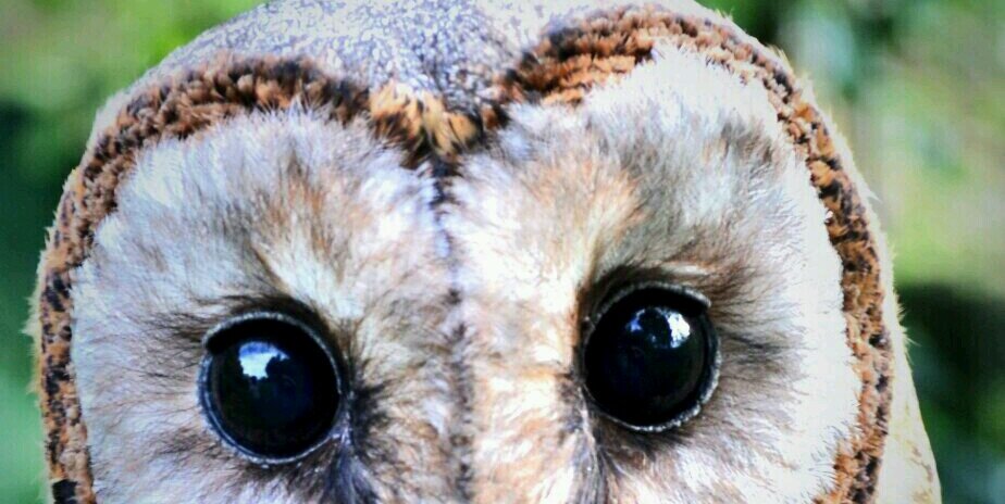 apasetha's profile banner image