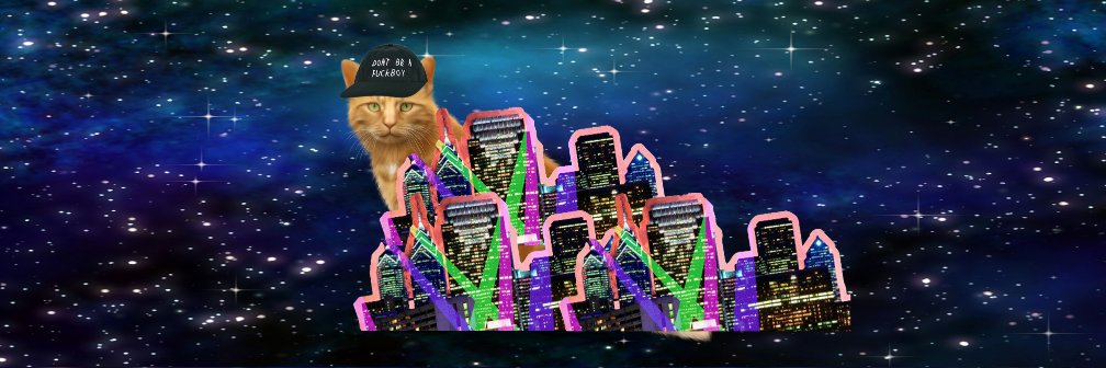 RobbinNotRobin's profile banner image