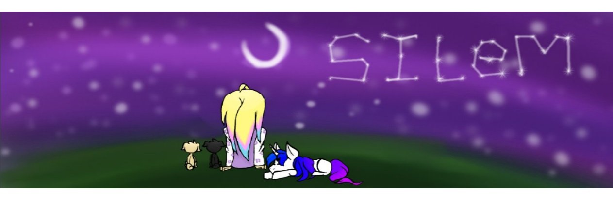 il_Silem's profile banner image
