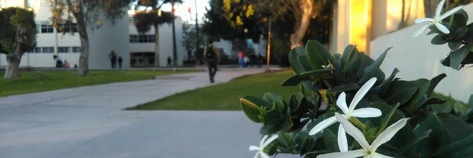 Coco W. banner