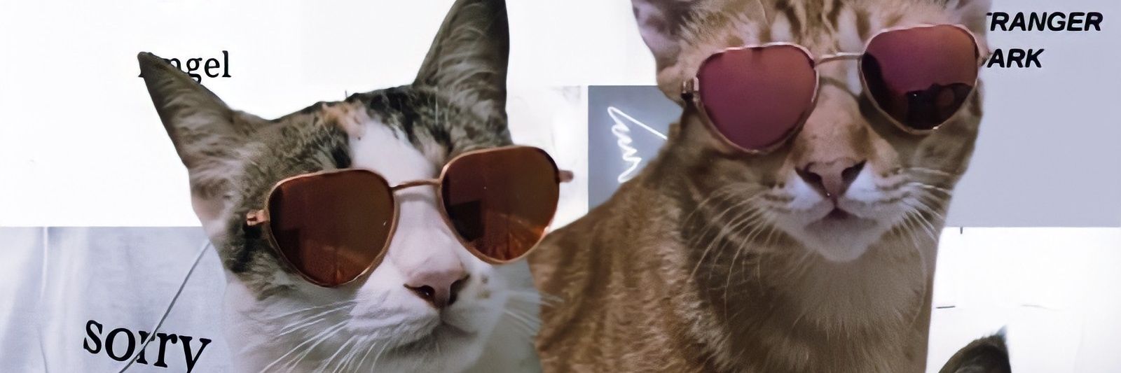 milkiten's profile banner image