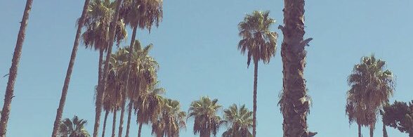 okaaaasey's profile banner image