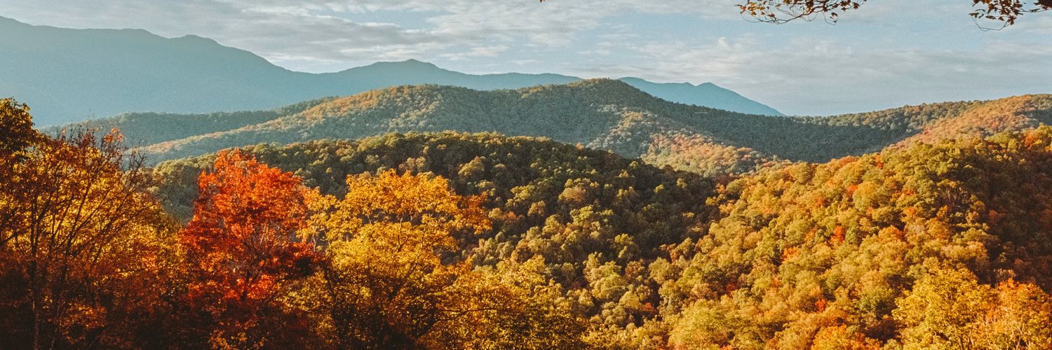collThegreat's profile banner image