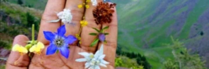 Affaa_29's profile banner image