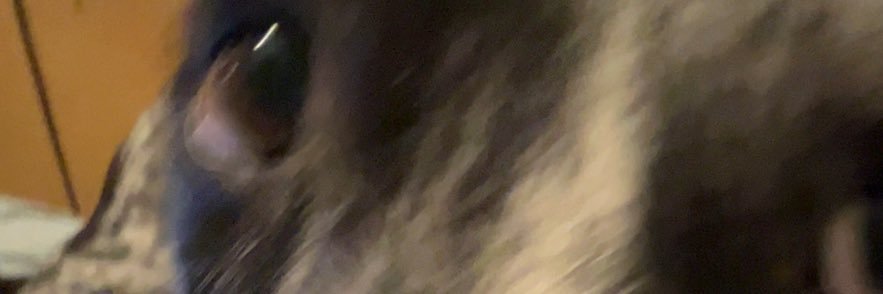 TomassilliB's profile banner image