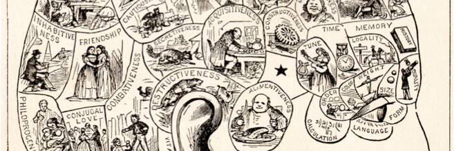 holobiome banner