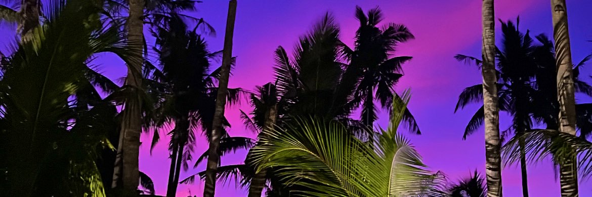 staceyyarthur's profile banner image