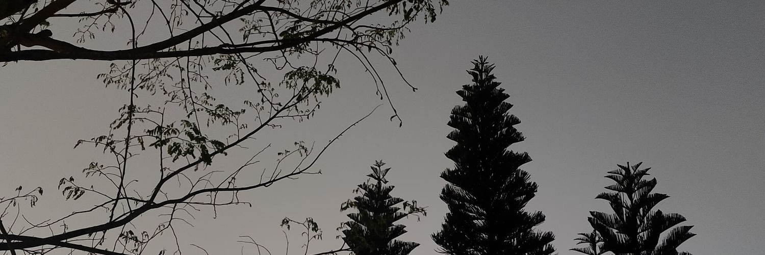 rusxatnc's profile banner image