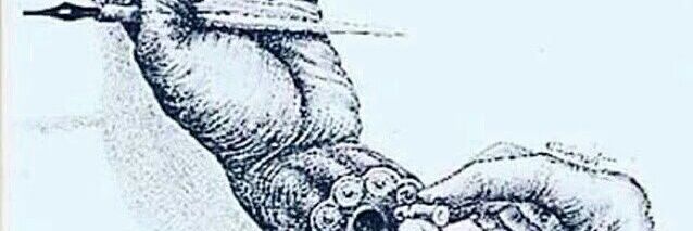 altmeme997's profile banner image