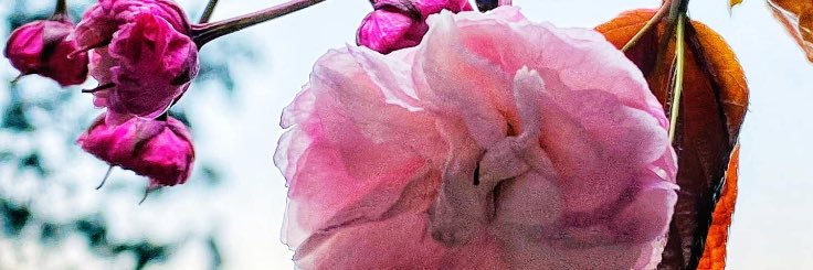kfs32305's profile banner image