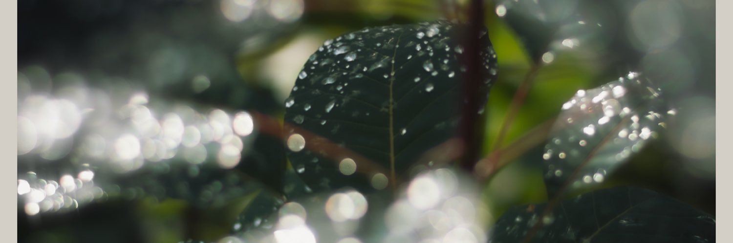 kyohev's profile banner image