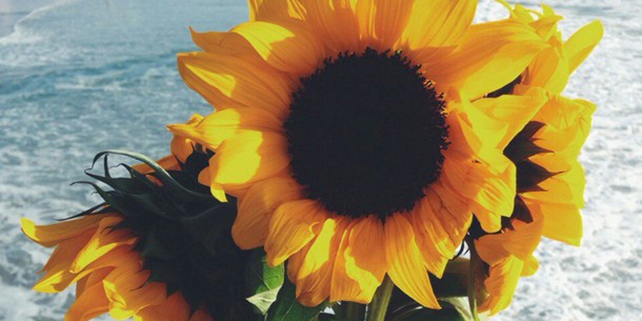 jamesexreid's profile banner image
