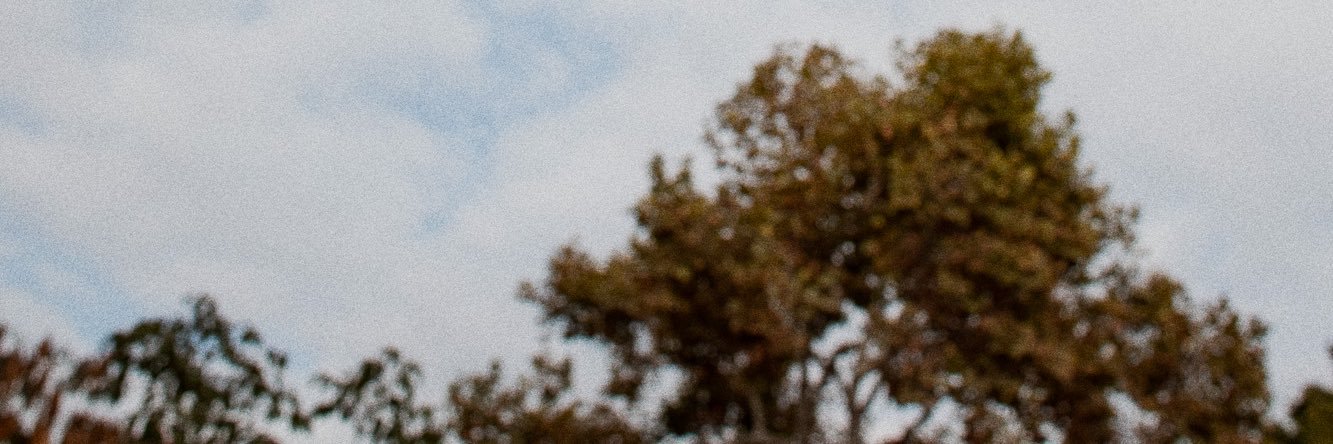 Nick00nick0's profile banner image