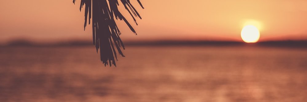 genesisvhcg's profile banner image