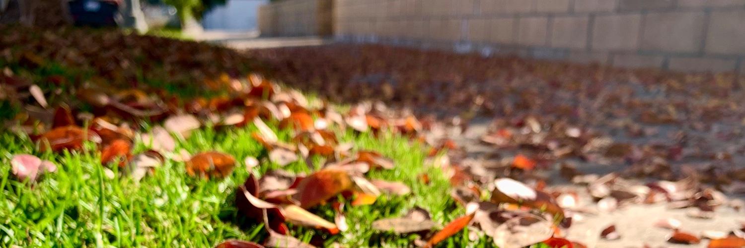 ilvfilms's profile banner image