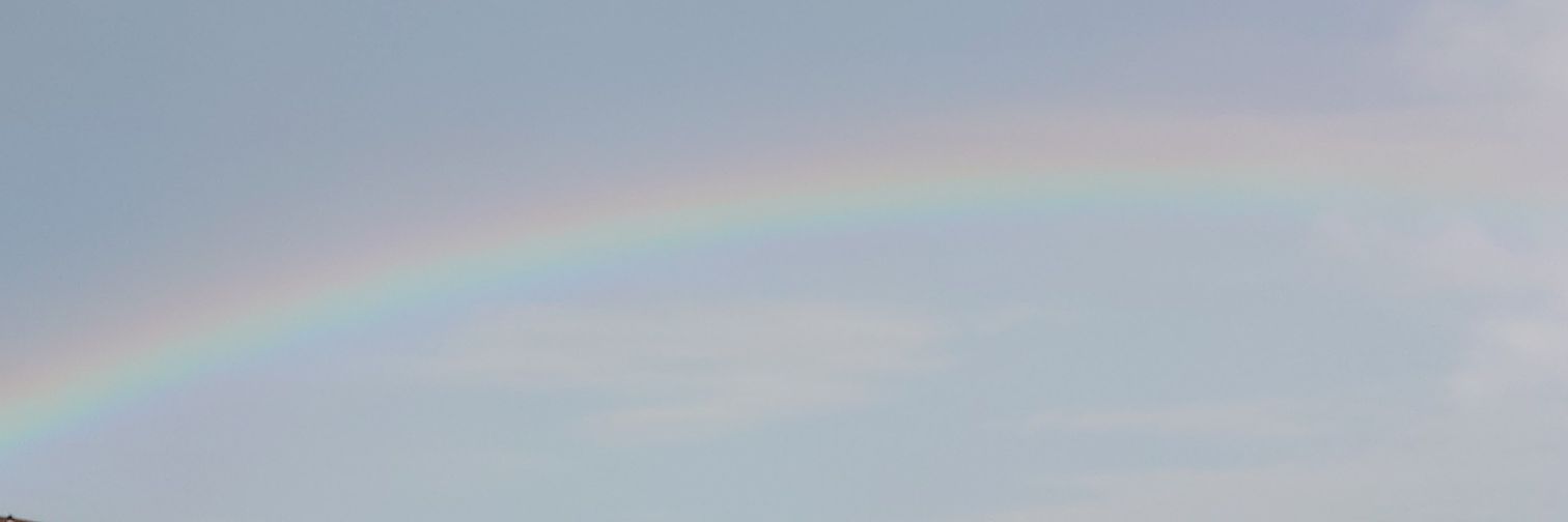 yuri5294's profile banner image