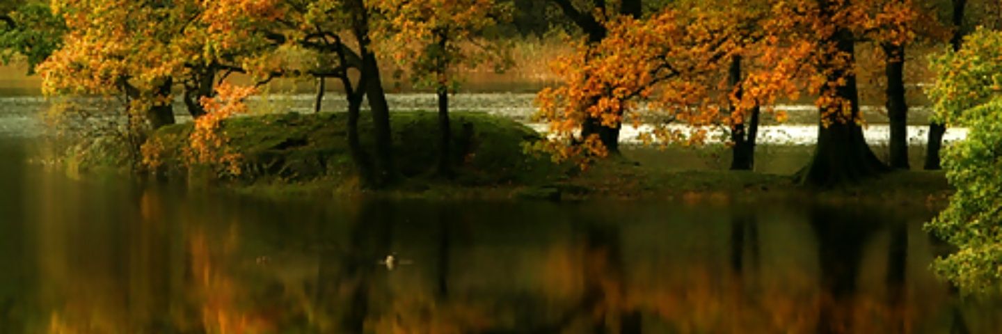dftujgdatjgkg's profile banner image