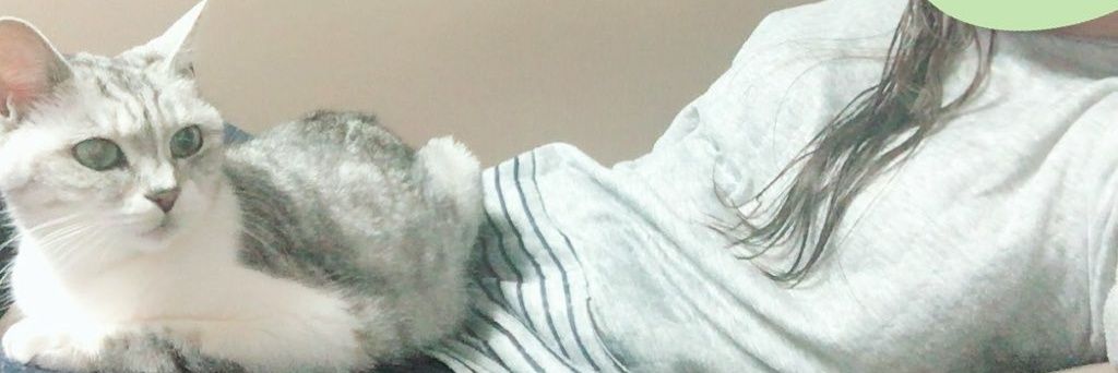 chan_maco12's profile banner image